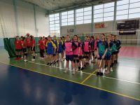 SPORT SZKOLNY W POWIECIE ŁOBESKIM –PIŁKA SIATKOWA  DZIEWCZĄT I CHŁOPCÓW KLAS VII- VIII