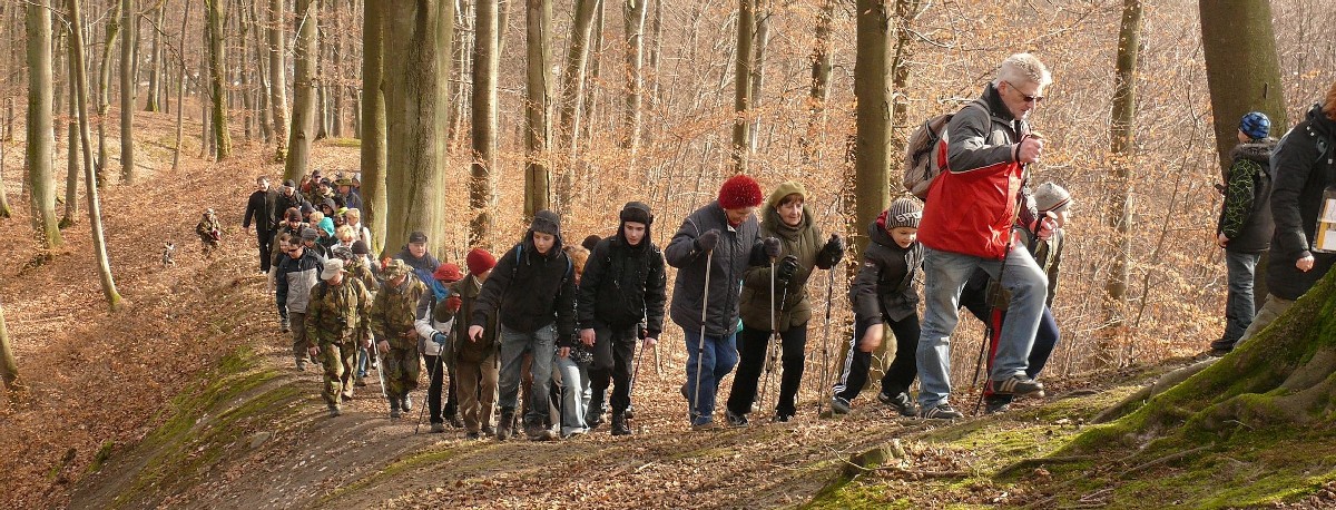 Grupa ludzi spaceruje w jesiennym lesie
