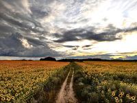 Katarzyna Dubicka-Wierudzka