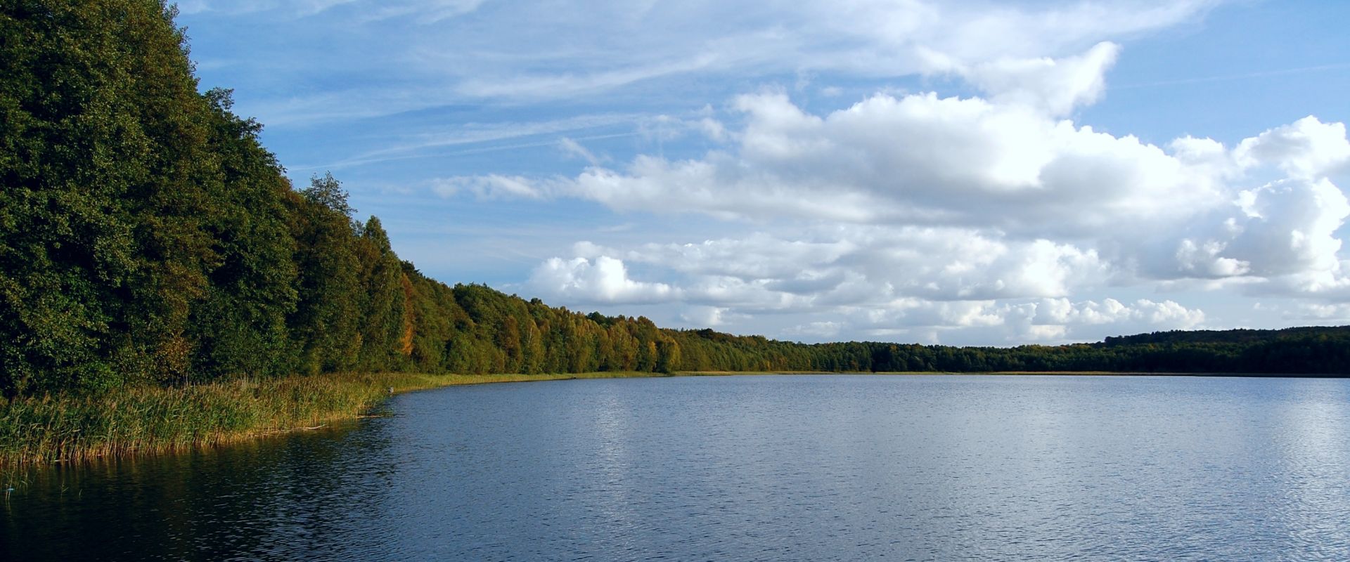 Panorama okolic Łobza: Las, jezioro z lotu ptaka