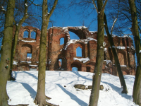Ruiny zamku zimową porą