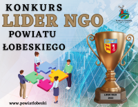 Plakat Lider Konkurs Lider NGO