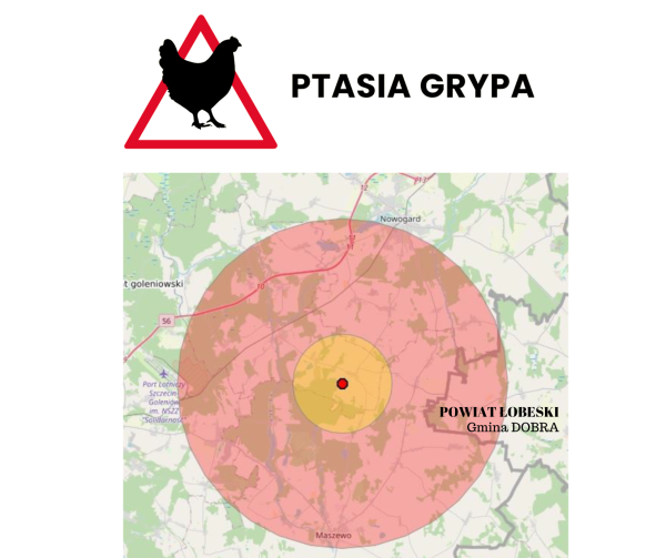 Rozporządzenie Wojewody Zachodniopomorskiego nr 1/2025 w sprawie zwalczania wysoce zjadliwej grypy ptaków na terenie powiatu goleniowskiego oraz powiatu łobeskiego