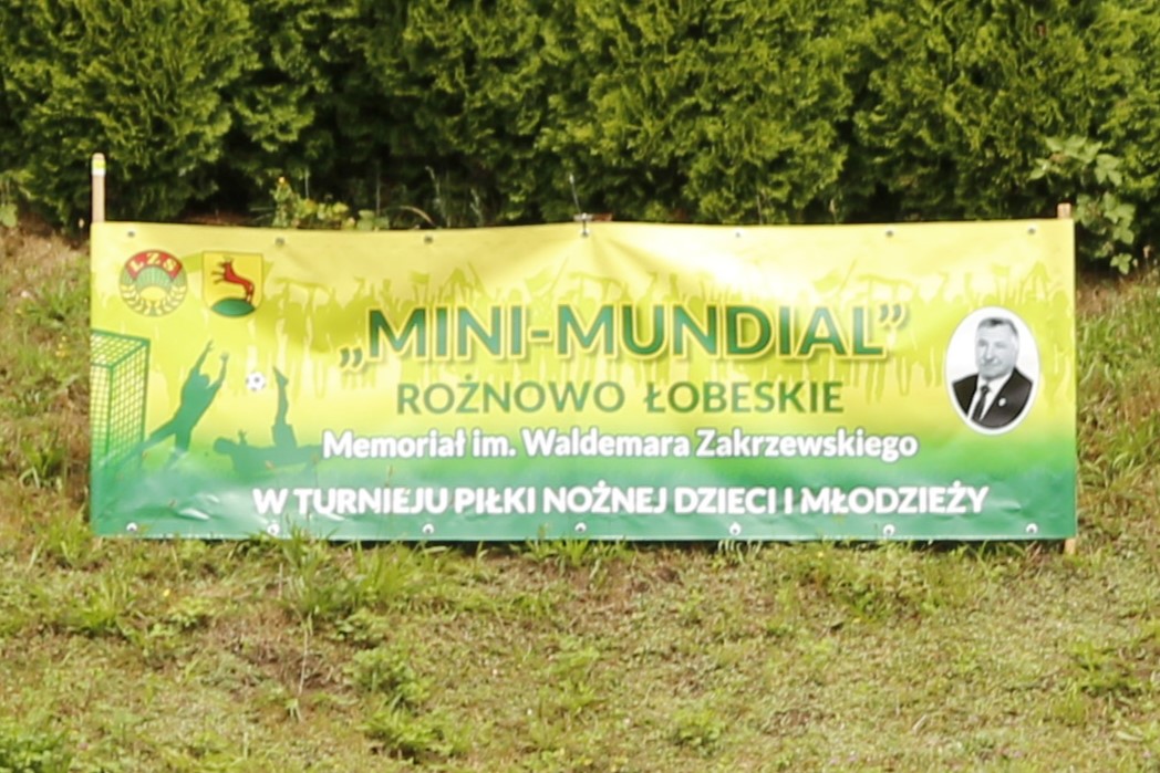 XII edycja Turnieju Piłki Nożnej - cykliczny Mini-Mundial w piłce nożnej świetlic wiejskich i sołectw im. Waldemara Zakrzewskiego.