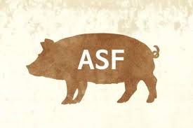 ROZPORZĄDZENIE NR 3/2026 WOJEWODY ZACHODNIOPOMORSKIEGO