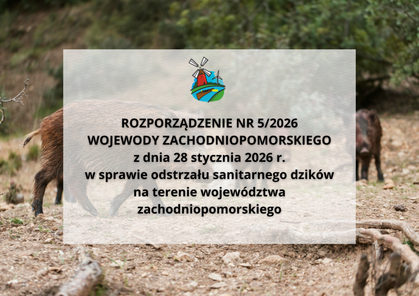 Odstrzał sanitarny dzików na terenie województwa zachodniopomorskiego