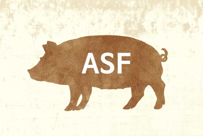 ROZPORZĄDZENIE NR 23/2026 WOJEWODY ZACHODNIOPOMORSKIEGO z dnia 9 kwietnia 2026 r. w sprawie strefy objętej zakażeniem afrykańskim pomorem świń oraz zwalczania tej choroby na terenie województwa zachodniopomorskiego