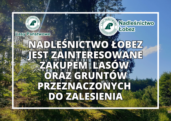 Ogłoszenie o możliwości zakupu lasów oraz gruntów przeznaczonych do zalesienia