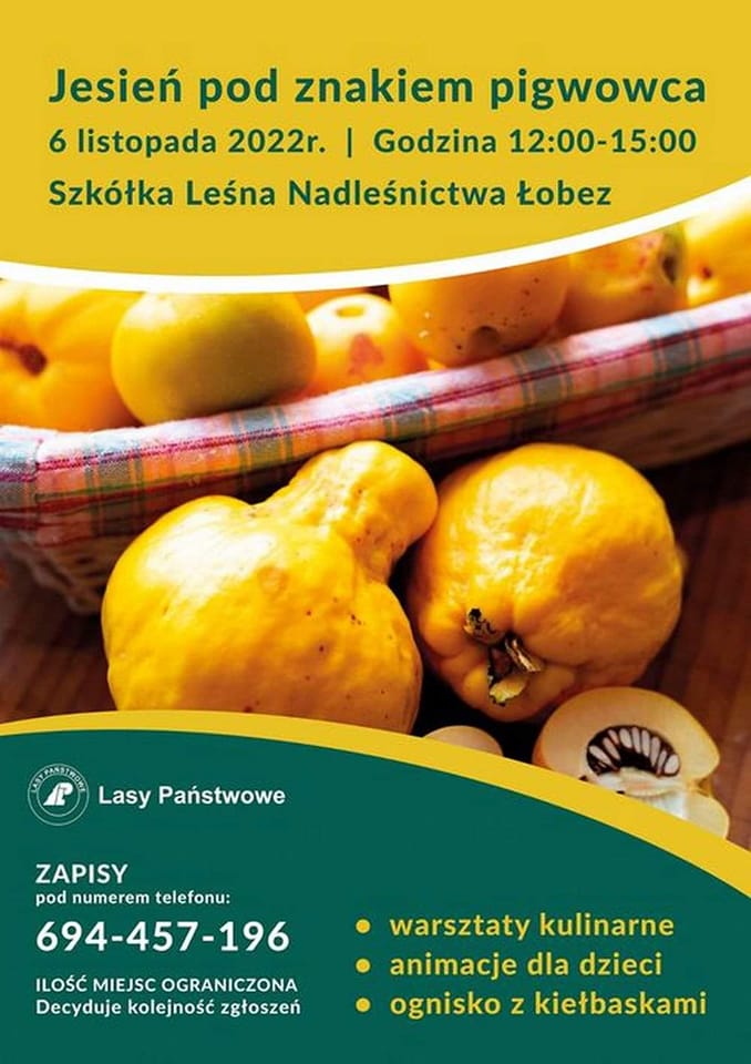 Warsztaty kulinarne „Jesień pod znakiem pigwowca”.