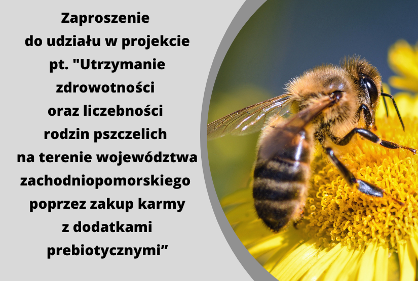 Projekt pn. „Utrzymanie zdrowotności oraz liczebności rodzin pszczelich na terenie województwa zachodniopomorskiego poprzez zakup karmy z dodatkami prebiotycznymi”
